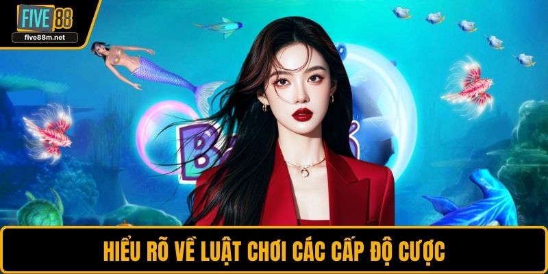 Hiểu rõ về luật chơi các cấp độ cược